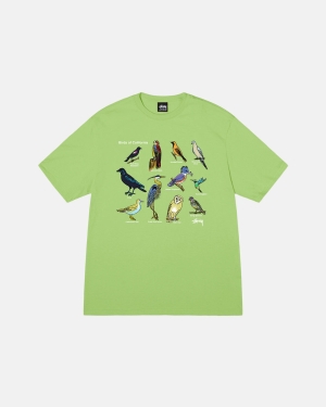 μπλουζακια για τρεξιμο Stussy California Birds Tea | 192-XOEYDZ