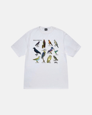 μπλουζακια για τρεξιμο Stussy California Birds ασπρα | 284-QULFSM