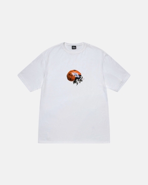 μπλουζακια για τρεξιμο Stussy Ladybug ασπρα | 509-UEXRMN